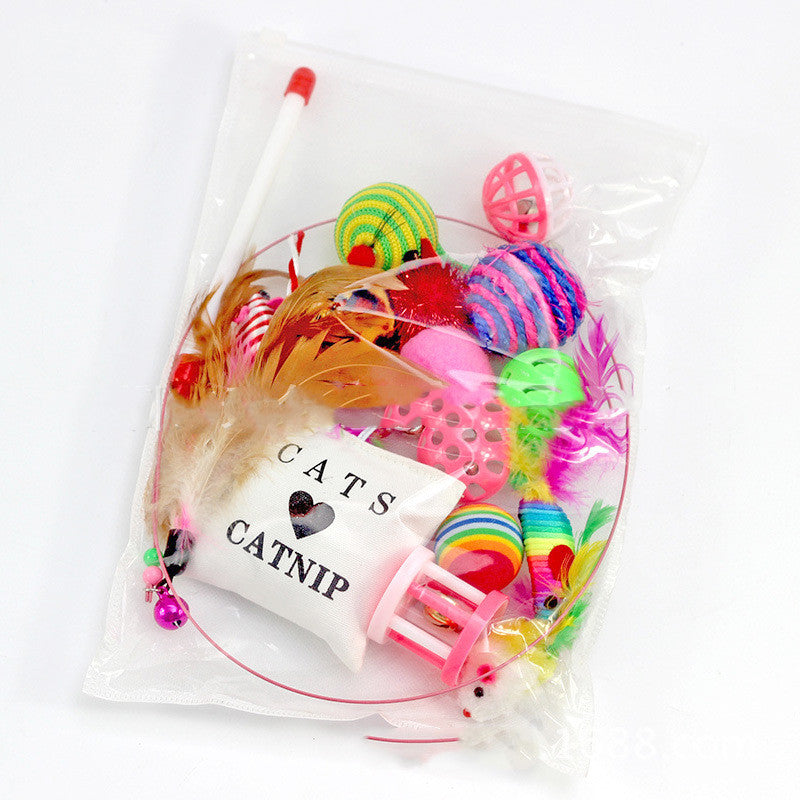 Northcove 16-piece cat toy set